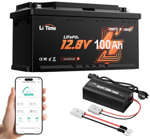 LiTime Batterie Lithium 12V 100Ah H190 Bluetooth avec 14,6V 20A Chargeur pour Camping-Car, AC-DC Chargeur avec Connecteur Anderson, Max. 15000 Cycles, Énergie 1280Wh, Idéale pour Camper Van, Fourgon