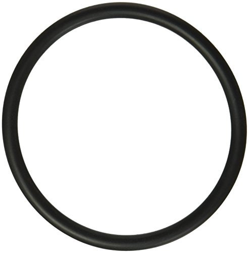 Hayward SX360Z1 Trennwand O-Ring für Sandfilter