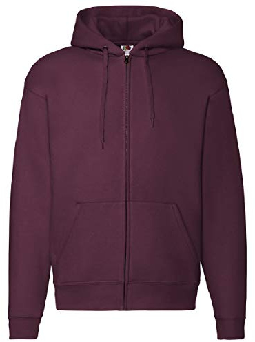 Fruit of the Loom Men's With Hood Sweatshirt (pack of 1)