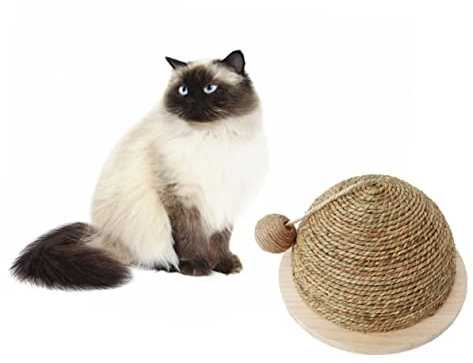 DOITOOL Spielzeug Hölzern Massivholz Kletterwand