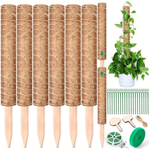 AQXONG 6 PCS Paletti per Piante Rampicanti, 40CM Paletti per Piante di Bastoncini di Cocco, Supporto per Piante Monstera, Bastone di Muschio, Impilabile, Stecche per Piante per Casa Giardino