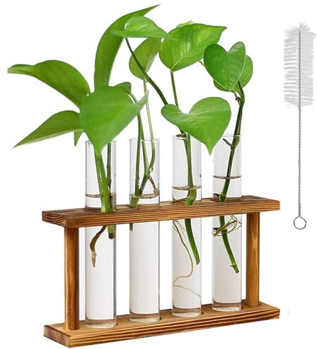 Kreativer Glasvase aus Schmiedeeisen Kleine Reagenzglas Vasen mit Ständer Holz Propagation Station Wandvase Modern Vasen Deko Set für Hydrokultur Pflanzen Für Hause Büro Wohnzimmer Küche