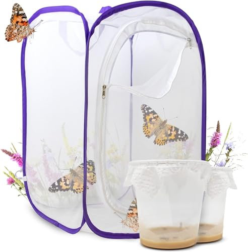 Schmetterlingszucht-Set für Kinder / Erwachsene | Schmetterlinge züchten [Erfolgsgarantie] | Heimische Schmetterlinge | GRATIS E-Book + Lernmaterialien | Zuhause Raupen züchten ab 3 Jahren - 2 Becher