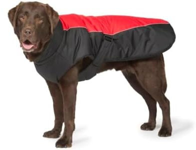 Danish Designs Red Sports Luxe Hundemantel, 65 cm