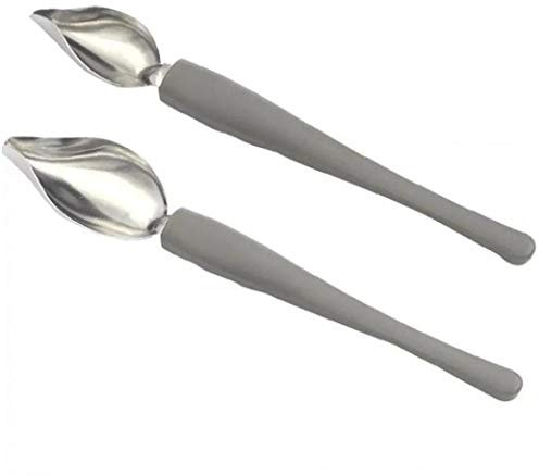 PiniceCore 2pcs Stainless Steel Chef's Art Pencil Culinary Precision Drawing Decorating Spoon Set Multi-use Chef Culinary Drawing Spoons