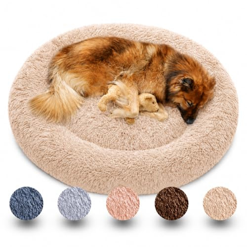 nobelpfote Hundebett Wolke 7 - Kuscheliges Hundekissen, waschbarer Bezug, gelenkschonend für kleine, mittelgroße & große Hunde, Beige, M - 70cm