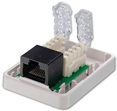 LINDY Toolless CAT6 Surface Mount Box