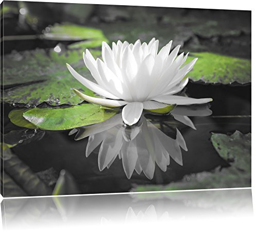 Pixxprint Weiße Lotusblume im Wasser, Größe: 100x70cm, Leinwandbild, fertig gespannt, Wandbild, Dekoration, Kunstdruck, kein Poster