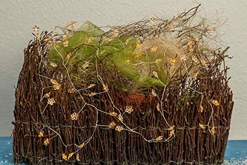 Best Season SA141, LED Cluster mit Reflektoren, Blüten 72 Goldene Le, Plastik, Weiß, 180.0 x 3.0 x 3.0 cm