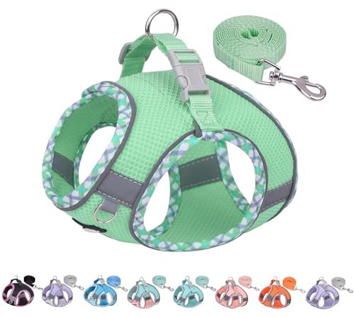 AIITLE Hundegeschirr Escape Proof, No-Pull Hundeweste mit Leine, atmungsaktives Mesh, reflektierende Streifen, einstellbare Haustier Outdoor-Geschirre Puppy Essentials für mittlere Hunde Salbei M