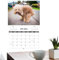 Hunde-Kacken-Kalender 2025,Wandkalender Für Kackende Hunde 2025,Humor Lustiger Wandkalender,12 Monatliche Hunde-Organizer,lustiger Kackender Tiere-Kalender, Wandkalender Für Freunde, Familie, Nachbarn