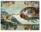 Wandkings Leinwandbilder von Michelangelo - Wähle ein Motiv & Größe: Die Erschaffung des Adam - 40 x 30 cm