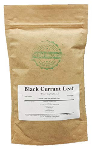 Herba Organica - Ribes Nero Foglia - Ribes Nigrum L - Black Currant Leaf (100g)