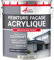 Peinture Façade - Peinture Hydrofuge Acrylique 14 couleurs - Dure jusqu'à 15 ans - 10 L (+ ou - 60 m² en 1 couche) Blanc Crème - RAL 9001 - ARCANE INDUSTRIES