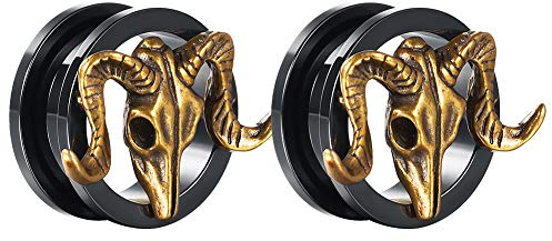 COOEAR Gauges Ears Plugs and Tunnels Black Screw Back Earrings Upgrade Piercing 1 Pair Gift Packing Stretchers 6mm to 25mm.