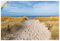 ARTland Wanddeko Wandtattoo selbstklebende Vinylfolie 120x80 cm Landschaften Strand Küste Idyll Sand Gräser Ostsee Graal Müritz U4ZF