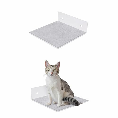 QLS Katzenregal 20x20 cm aus Stahl mit Filz für Kletterwand Grau | Robuste Liege- und Kletterfläche mit selbstklebendem Filz, ideal zur Erweiterung von Katzen Kletterwand Sets und Katzenmöbeln