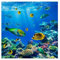 Fensterfolie Sichtschutz Fensterbild Underwater Lights Aufkleber 10 x 10cm