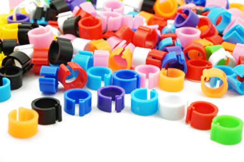 (100 Stück Pcs) Vogel Ringe Multicolor Colorful Bein Bands für Taube Parrot Finch Kanarischen Hatch Küken Bantam Geflügel Bajonett Ringe 8 mm Innen Durchmesser