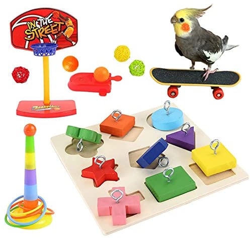 Vogelspielzeug Papageienspielzeug Vogel Spielzeug Wellensittich Spielzeug Nymphensittich Spielzeug Papagei Intelligenz Spielzeug mit Skateboard Trainingsringe für Papageien, Vögel, Sittich