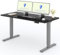 FLEXISPOT Höhenverstellbarer Schreibtisch 160x80cm mit 2 Motoren & 25MM einteiliger Tischplatte,ergonomischer Bürotisch - Schwarz, graues Gestell