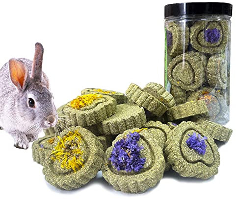 FIPASEN Juguetes para Masticar Conejos, 18 Piezas Natural Timoteo Heno Masticar Juguete, Mejorar la Salud Dental para Conejito/Chinchilla/Conejillo de Indias/Hámsteres/Holland Lop