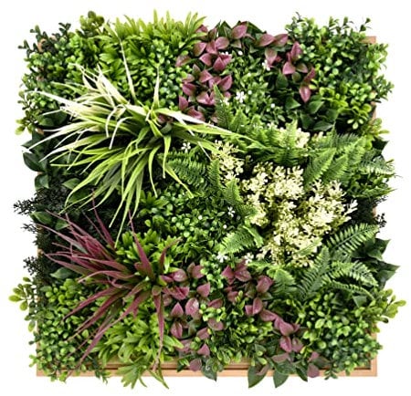 BONERVA | Jardín Vertical Maldivas | Pieza 50x50cm con Marco | Planta Artificial Decorativa para hogar, Oficina, Hotel, Restaurante, etc | MAL1220