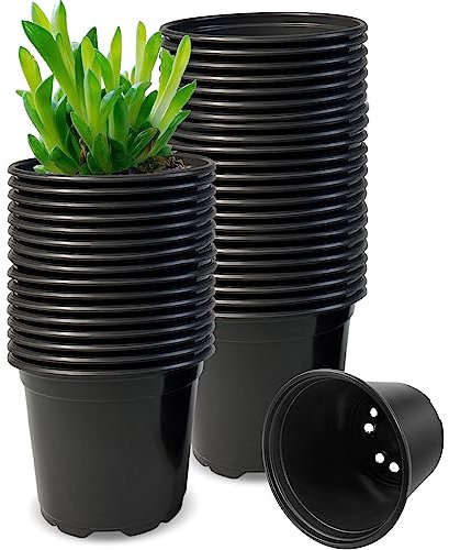 RAOOKIF Lot de 50 pots de pépinière en plastique avec trous de drainage, pots de fleurs de jardin pour transplantation, plantes grasses, boutures, semis (7,6 cm, 50 pièces)