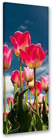 Feeby Quadro Stampa Moderna Tulipani Foto su Tela Fiori Rosa 25x70 cm