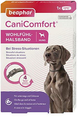 BEAPHAR - CaniComfort® Wohlfühl-Halsband - Für Hunde Aller Rassen Und Jeden Alters - Pheromon-Technologie - Beruhigt In Stress-Situationen - Für Unterwegs Und Zuhause - Wirkt 4 Wochen - 65cm - Grau