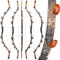 wolfman 35-55 lbs Traditioneller Bogen Erwachsener Chinesischer Drachen Langbogen Recurvebogen Sportbogen Bogenschießen Jagdbogen Mongolischer Reiterbogen für Anfänger Übungsgeschenk (45lbs, Drachen)