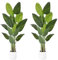 ZEEOZE 2Pc Plante Artificielle Oiseau de Paradis 180cm bananier Artificiel avec 13 Feuilles pour Plantes Artificielles Interieur Exterieur avec Pot Blanc pour Decoration Maison en Salon Bureau Jardin