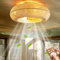 Handgemachte Bambusweberei Deckenventilator Mit Beleuchtung Und Fernbedienung Leise Ventilator Deckenleuchte E26 Ventilator Lampe 50CM Ventilator Deckenlicht For Schlafzimmer Restaurant Fan Lampe