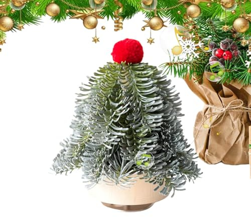 Générique Spieluhr für Weihnachten – saisonale Dekoration | Musikdekoration für Weihnachten | für Mädchen, Jungen, Mädchen, Sohn, Schwester, kleine Tochter, Mutter, Vater, Frauen