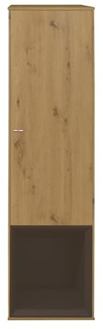 FURNARO Hängeschrank Frame Wandschrank in asteiche/Lava matt Lack B/H/T: 35x130x32 cm