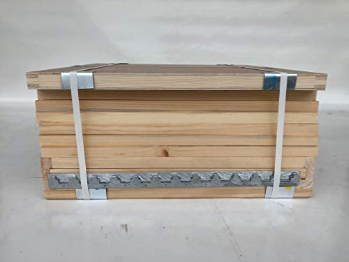 Dadant US 12er Beute als Bausatz, Trennschied, Weymouthskiefer