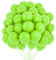 100pcs Luftballons Grün Luftballons Geburtstag Luftballons Hochzeit Helium Luftballons Ballon GrünLuftballons Party Luftballon Set Grün Party Dekoration Girlande Grün Deko Geburtstagsdeko Grün