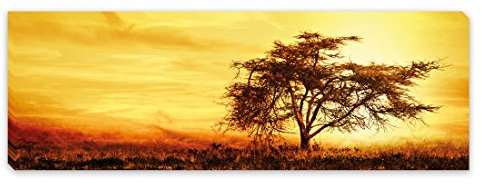 PICSonPAPER Leinwandbild Panorama Afrika Baum, 90 cm x 30 cm, Dekoration, Kunstdruck, Wandbild, Geschenk, Leinwand Baum, Feld, Natur (Afrika)
