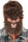 Smiffys Werwolf-Gesichtspelz, Braun, an gummiband