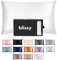 Blissy Seidenkissenbezug – 100% Reine Maulbeerseide – 22 Momme 6A hochwertige Fasern – Satin-Kissenbezug für Haar und Haut – Regular, Queen & King mit verstecktem Reißverschluss