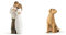 Willow Tree Promise Figurine & Love My Dog Light Figurine