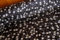 Glitzernder Dekostoff Metallic - Sterne silber auf schwarz - Stoff Meterware, Winterstoff, Weihnachtsstoff - Silbersterne mit Glitzer *ab 50 cm