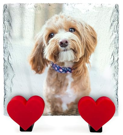 TULLUN Personalisierte Gedenktafel für Haustier Katze Hund Schiefer Naturstein Rahmen Pfote Grab Marker mit Herz Display Ständer - Full Print - Größe | 4 x 4 oder 10 x 10 cm |