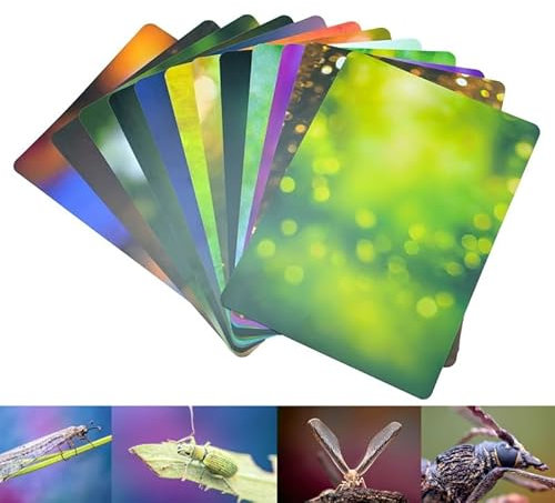 Guage-Hintergrundkarten-Set für Makrofotografie, 12Pc, 24 Farben(30 * 21CM), lichtabsorbierendes Material, ökologische Unschärfe-Hintergründe für Makrofotografie.(A4 Sizes 12Pc 24 Colors)