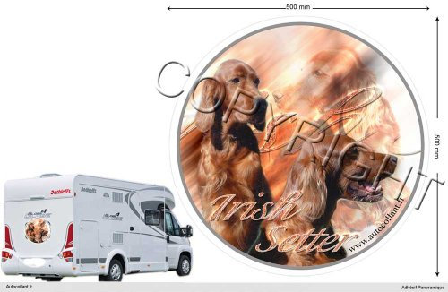 Circular Aufkleber Hund 50 cm Irish Red Setter