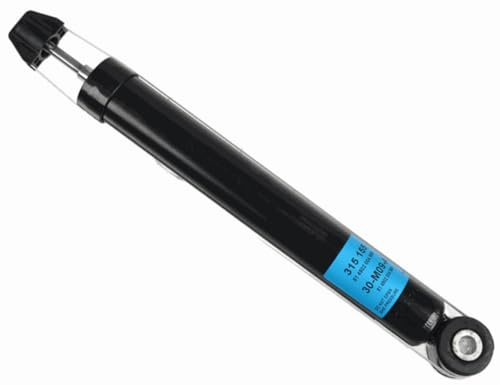 SACHS 315 155 Stoßdämpfer für Renault Clio III (BR0/1, CR0/1) 2005-2014 Hinterachse und Andere Fahrzeuge