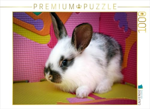 CALVENDO Puzzle Lustiges Kaninchen | 1000 Teile Lege-Größe 64 x 48 cm Foto-Puzzle für glückliche Stunden
