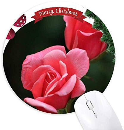 rose red roses en fleurs tapis de souris en caoutchouc de sapin de noël