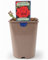 Beautiful Loving Memory Hybrid Tea Rose Plant – Live Plant Gift in A 5.5 Litre Recyclable Nursery Pot. These are Real, Living, British Grown, Garden Ready, Indoor or Outdoor Flowers