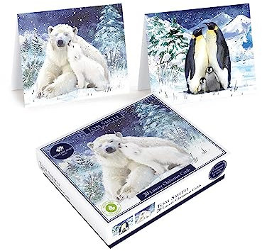 Tom Smith 20 luxuriöse Weihnachtskarten für wohltätige Zwecke mit 2 Eisbär- und Pinguin-Designs